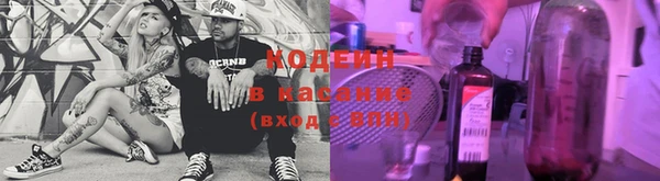 мдпв Лагань