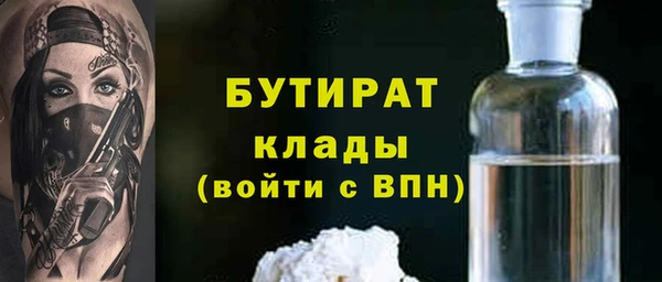 шишки Гусиноозёрск