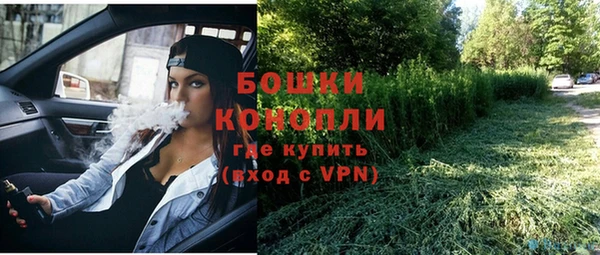 ALPHA PVP Новозыбков