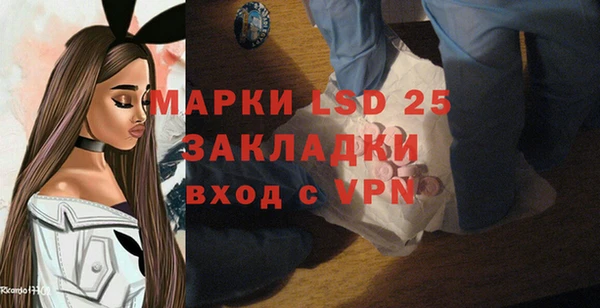 ALPHA PVP Новозыбков