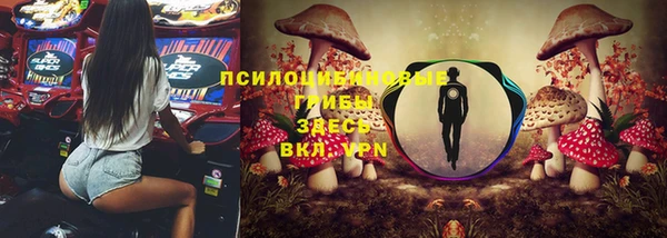 ALPHA PVP Новозыбков