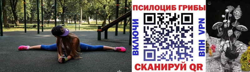 как найти закладки  Кондопога  Галлюциногенные грибы GOLDEN TEACHER 
