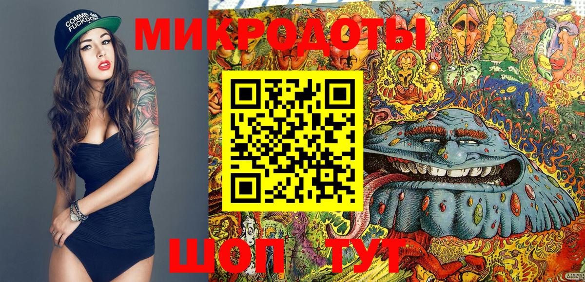 Кондопога  Псилоцибиновые грибы мицелий  Вход с VPN 